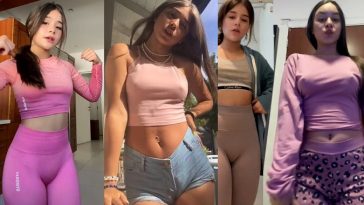 tiktok porn compilation